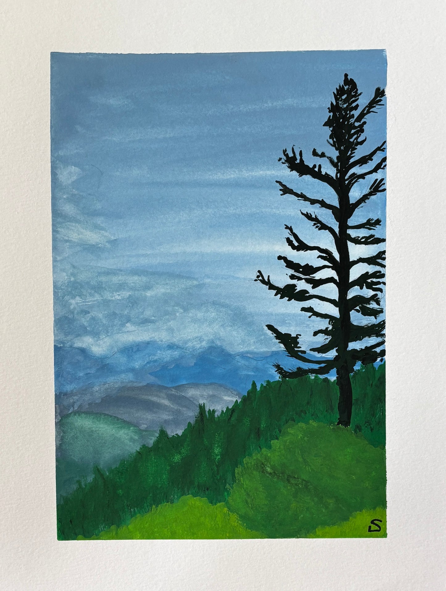 Original painting- Blue Ridge