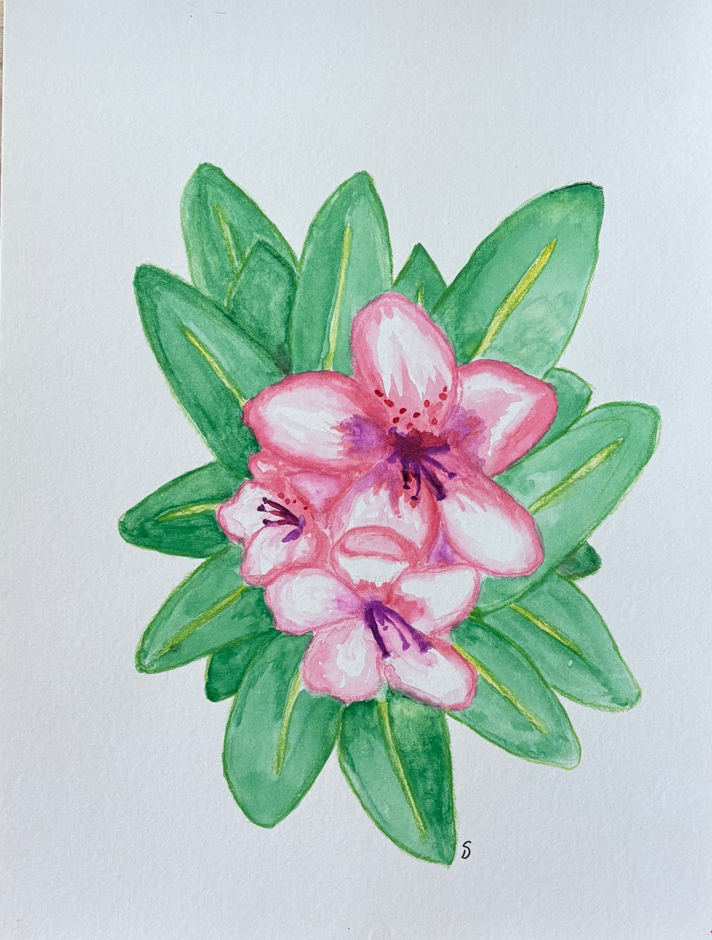 Original painting- Rhododendron Bloom