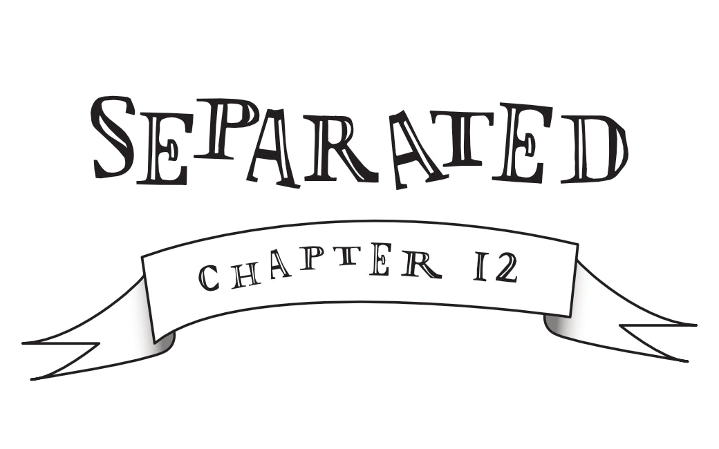 Chapter 12- Separated