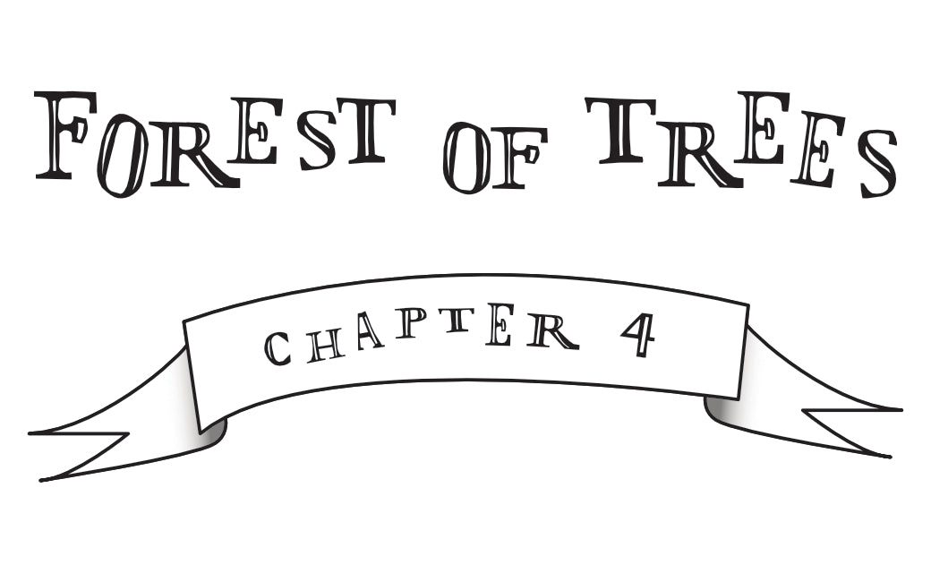 Chapter 4- Forest of Trees